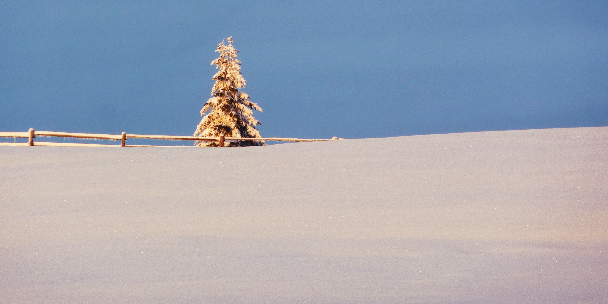 Winterpanorama Gitschberg Jochtal