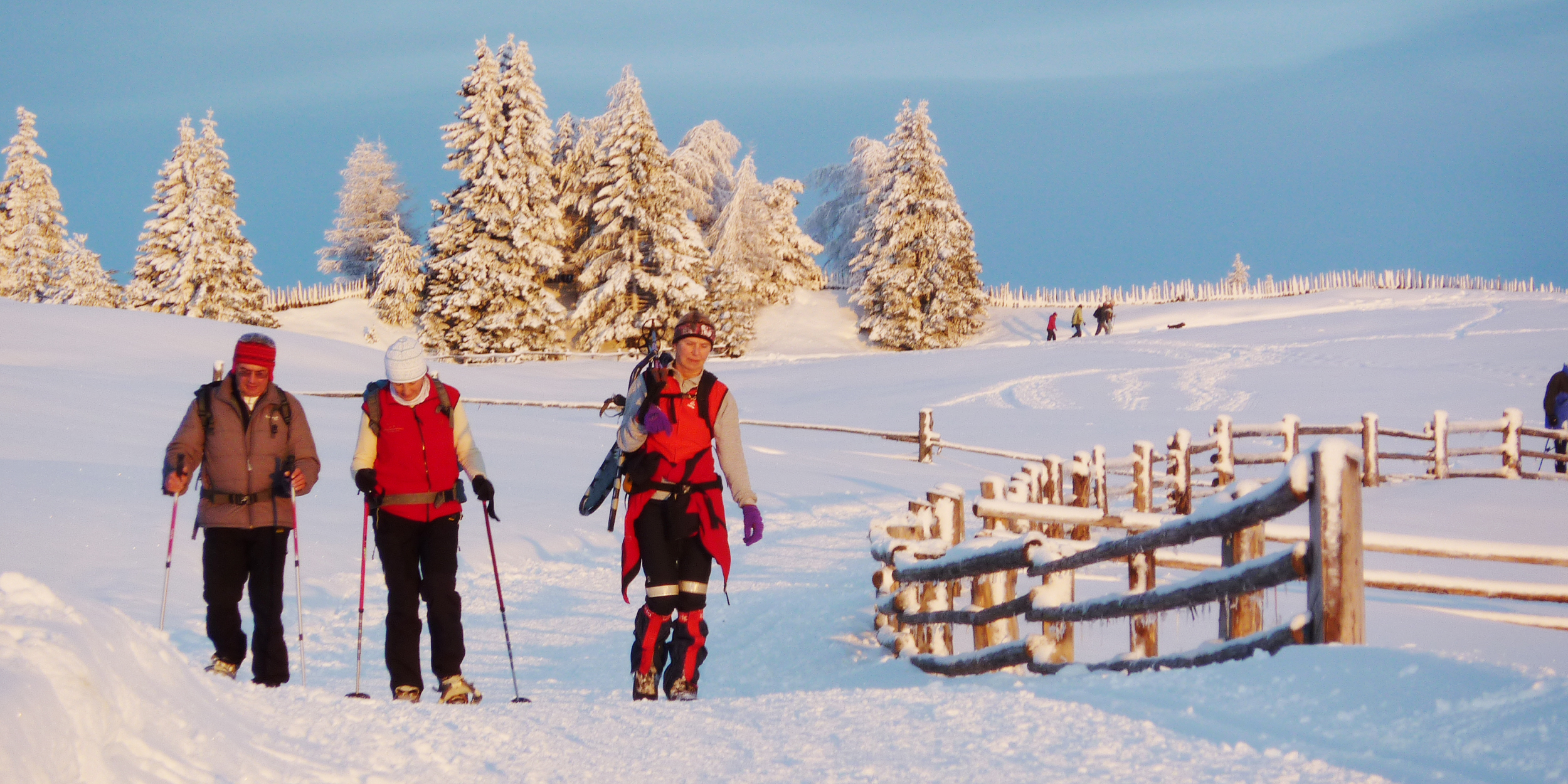 Schneeschuhwandern Pustertal 