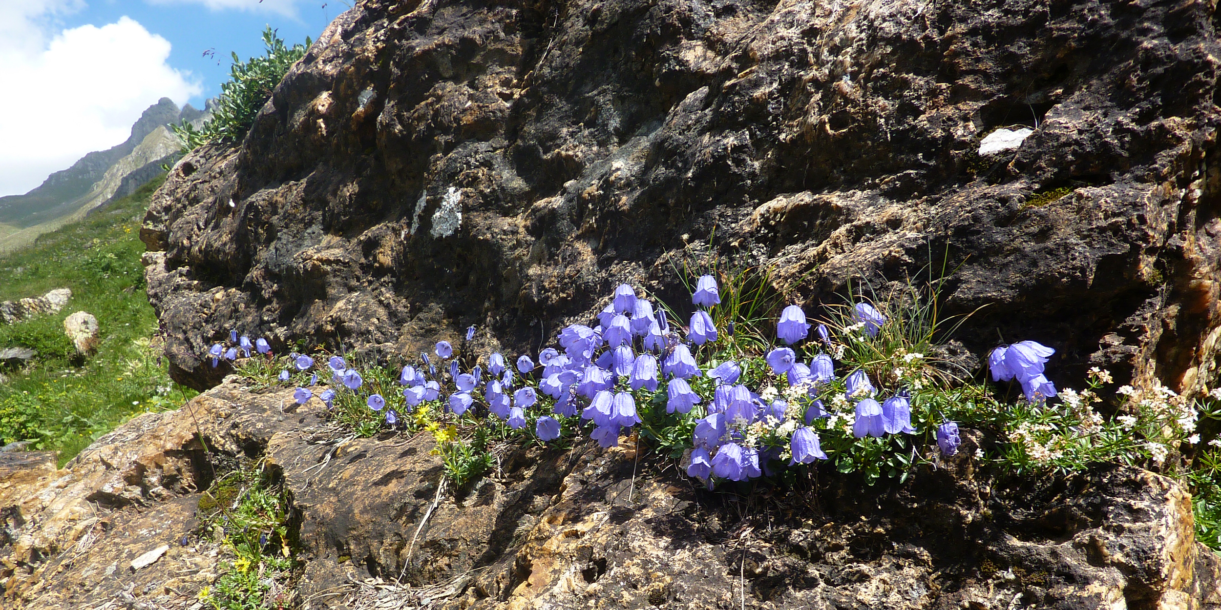Natur Gasthof Brugger
